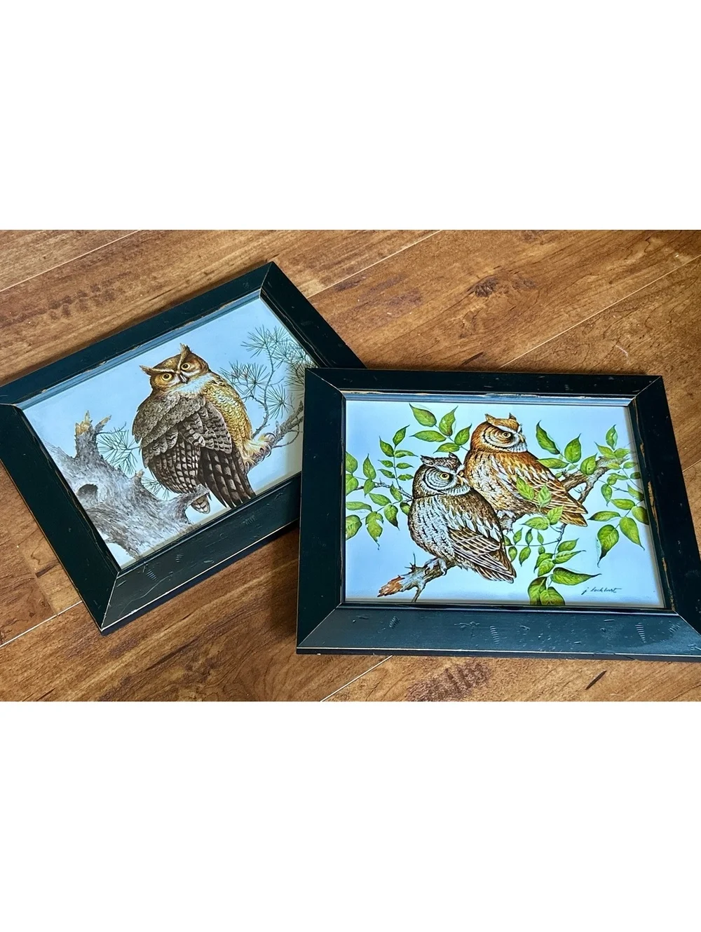 Vintage Owl Artwork Pair in Black Wooden Frames
